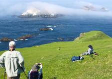 Hermaness, Isle of Unst